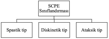 Serebral Palsinin Sınıflandırılması